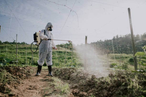 Best Pest Control for Homes  in Helena, AL