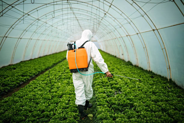 Best Residential Pest Control  in Helena, AL