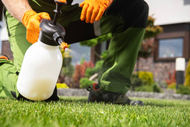 Professional Pest Control in Helena, AL