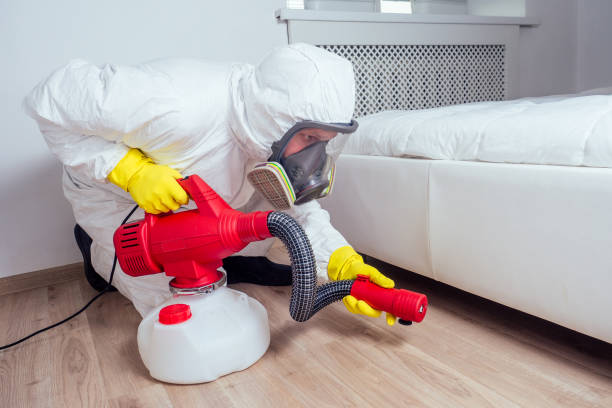 Best Mosquito Control Services  in Helena, AL